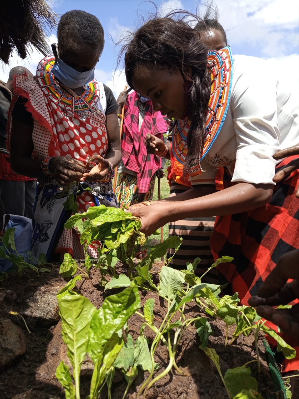 Laikipia County Takes Steps Further In Vertical Farming As Purity Gitonga “Princess” Launched Seedlings Of Victory Initiative