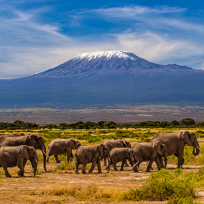 Top Tourist Attractions in Kenya