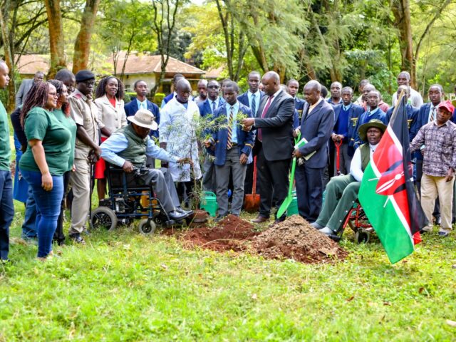 Westlands MP Tim Wanyonyi Leads Massive Tree Planting Initiative at Nairobi School and Hospital Hill Secondary